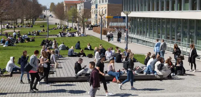 Crypto, Blockchain-Focused MBA Course