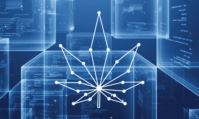 Blockchain Could Help the Cannabis Industry Significantly