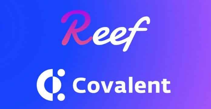Reef Finance Partners with Covalent