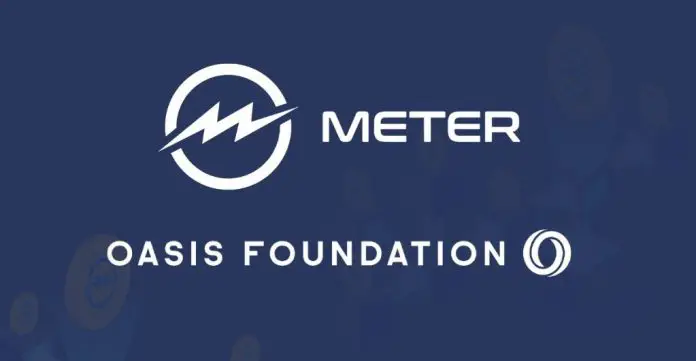 Oasis Foundation Joins Hands with Meter