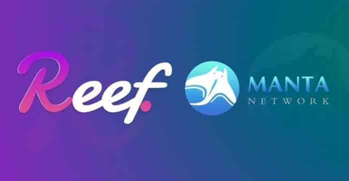 Reef Finance Collaborates with Manta DEX
