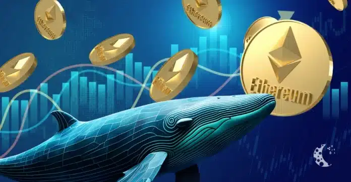 ETH Price Steadies Above $4,200 as Whales Add $220M to Holdings