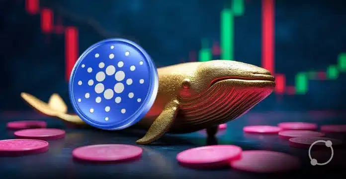 Cardano Whales Cash Out-Is ADA at Risk