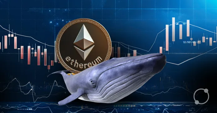 The 'Whale Effect' Is Ethereum's Price Poised for a Breakout