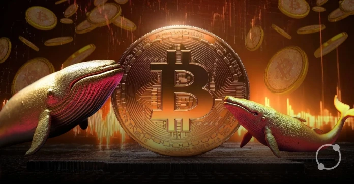 Bitcoin Whale Sells 3,000 BTC for $363.9M USDC on HyperLiquid Bitcoin Whale Sells 3,000 BTC for $363.9M USDC on HyperLiquid