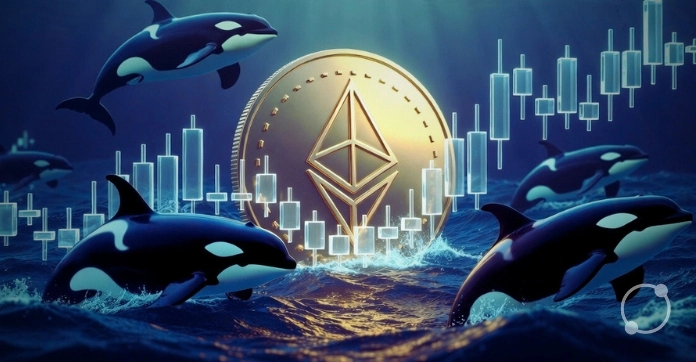 Ethereum Whales Keep Buying as ETH Price Slides