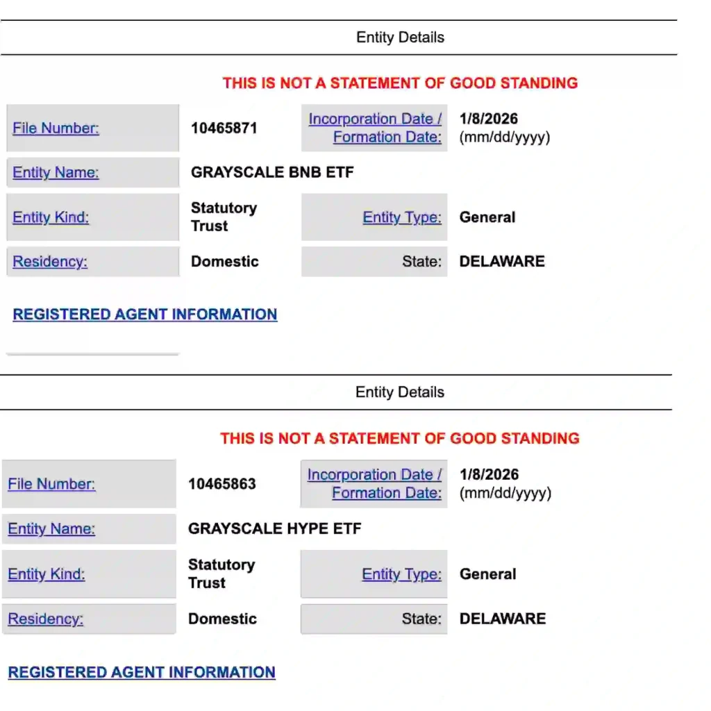 Grayscale’s BNB and HYPE ETF Filing. (Source: State of Delaware Official Website)